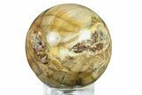 Detailed Petrified Wood (Araucaria) Sphere - Madagascar #286133-1